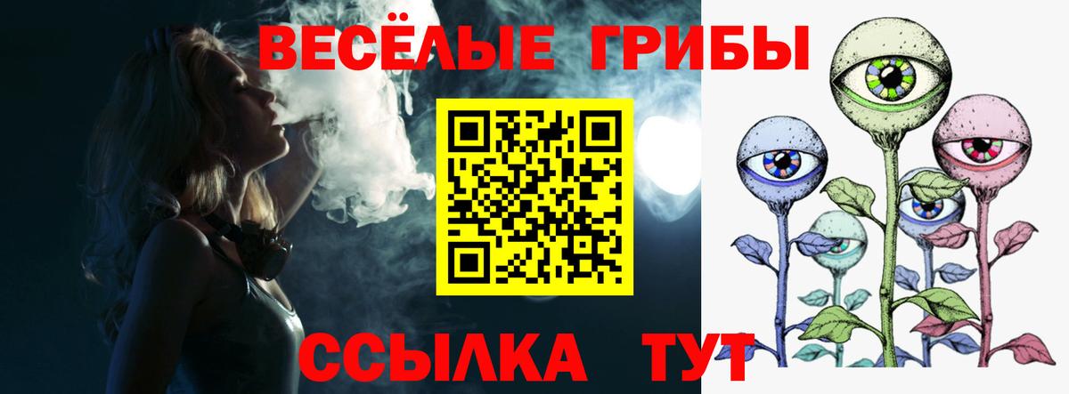 наркошоп  Вход с VPN  Псилоцибиновые грибы мицелий  Лесосибирск  Галлюциногенные грибы GOLDEN TEACHER 